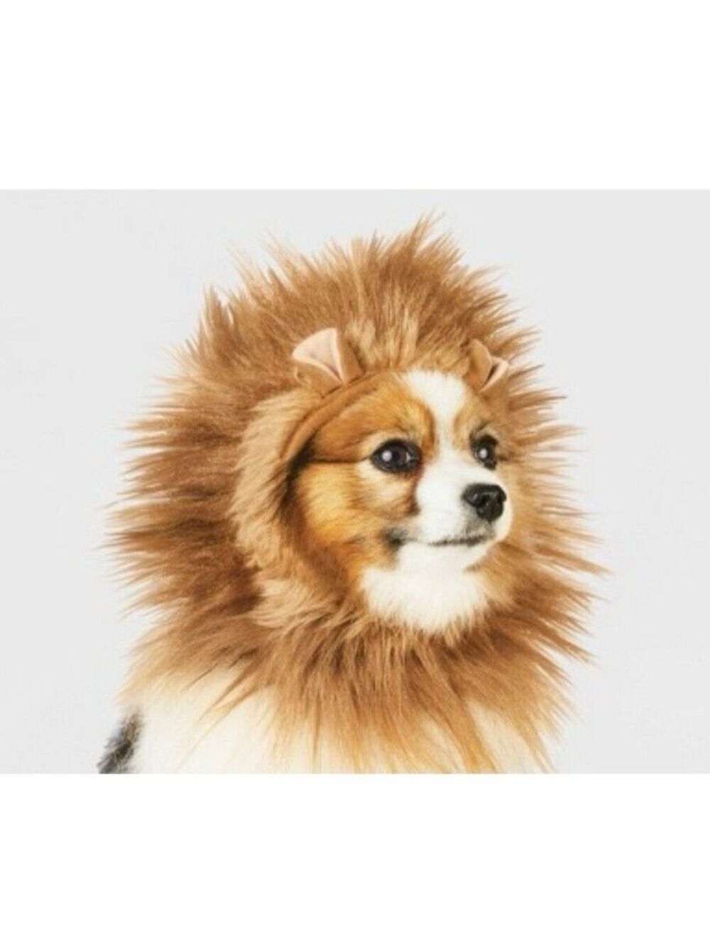 Hyde and EEK Boutique Lion Ruff Headwear XXS XS